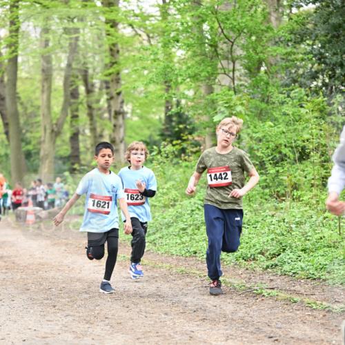 13.04.2025 - Hammer Lauf Dr. Thomas Lammeyer http://msf.ph/oto/7630296 13.04.2025 09:24:02 Laufen 1621, 1623, 1442 meine-sportfotos.de