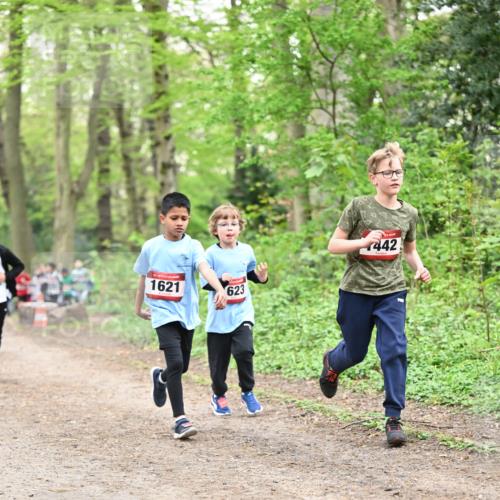 13.04.2025 - Hammer Lauf Dr. Thomas Lammeyer http://msf.ph/oto/7630306 13.04.2025 09:24:02 Laufen 1621, 623, 442 meine-sportfotos.de
