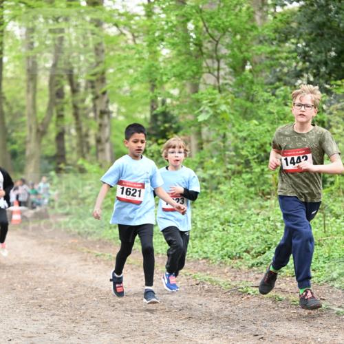 13.04.2025 - Hammer Lauf Dr. Thomas Lammeyer http://msf.ph/oto/7630313 13.04.2025 09:24:02 Laufen 15, 1621, 1442 meine-sportfotos.de