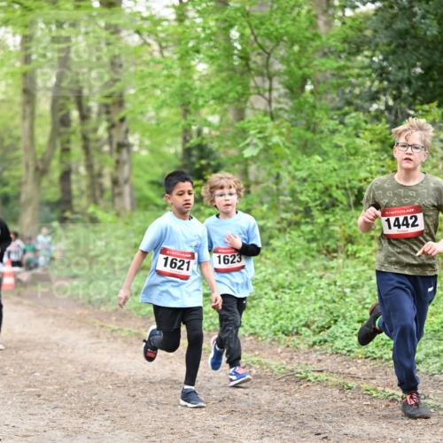 13.04.2025 - Hammer Lauf Dr. Thomas Lammeyer http://msf.ph/oto/7630317 13.04.2025 09:24:02 Laufen 15, 1621, 1623, 15, 1442 meine-sportfotos.de