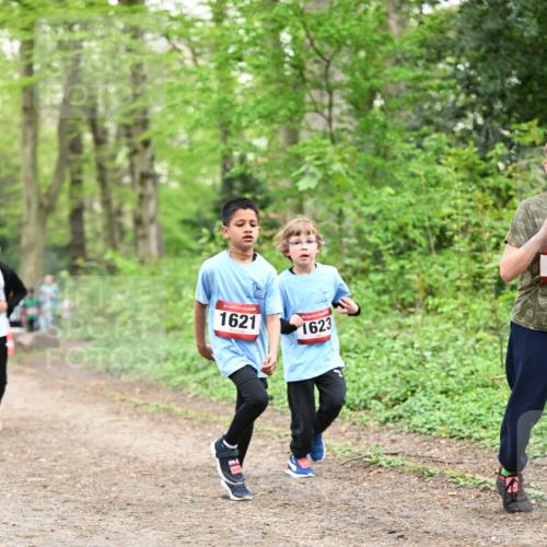 13.04.2025 - Hammer Lauf Dr. Thomas Lammeyer http://msf.ph/oto/7630323 13.04.2025 09:24:02 Laufen 15, 1621, 1623 meine-sportfotos.de