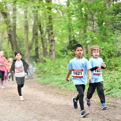 13.04.2025 - Hammer Lauf Dr. Thomas Lammeyer http://msf.ph/oto/7630329 13.04.2025 09:24:02 Laufen 142, 15, 1621, 1623 meine-sportfotos.de