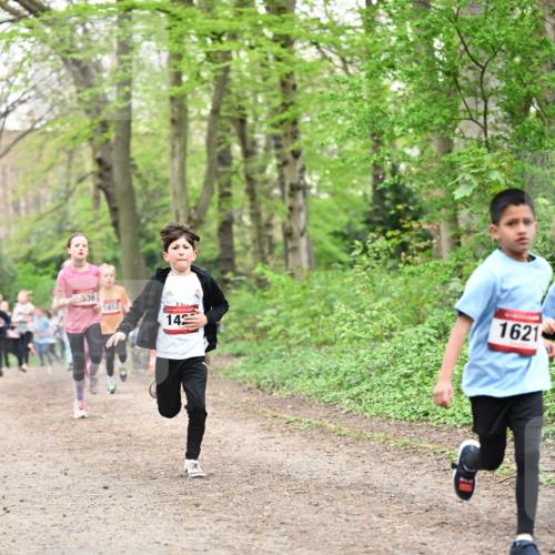 13.04.2025 - Hammer Lauf Dr. Thomas Lammeyer http://msf.ph/oto/7630335 13.04.2025 09:24:03 Laufen 36, 1452, 14, 1621 meine-sportfotos.de