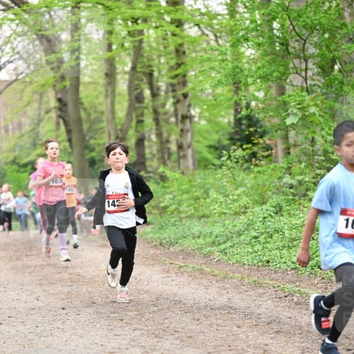13.04.2025 - Hammer Lauf Dr. Thomas Lammeyer http://msf.ph/oto/7630339 13.04.2025 09:24:03 Laufen 103, 1452, 14, 16 meine-sportfotos.de