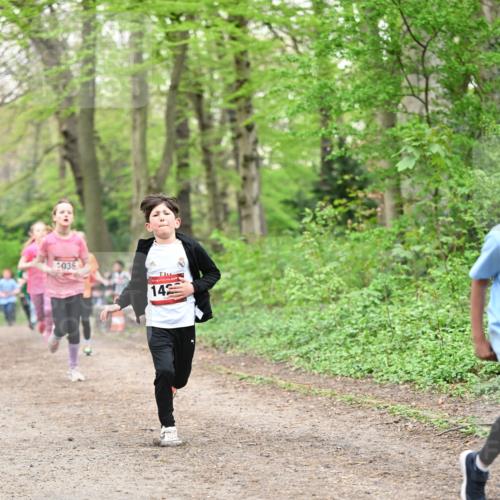 13.04.2025 - Hammer Lauf Dr. Thomas Lammeyer http://msf.ph/oto/7630345 13.04.2025 09:24:03 Laufen 1036, 14 meine-sportfotos.de