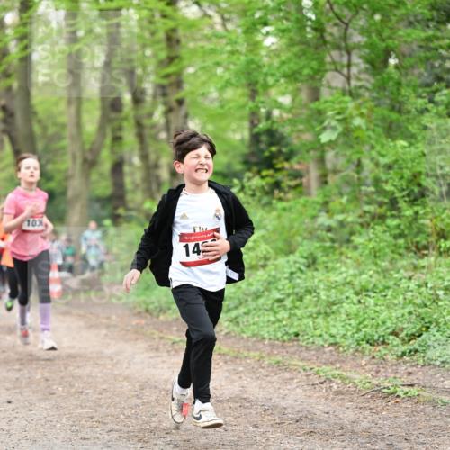 13.04.2025 - Hammer Lauf Dr. Thomas Lammeyer http://msf.ph/oto/7630364 13.04.2025 09:24:04 Laufen 10, 15, 14 meine-sportfotos.de