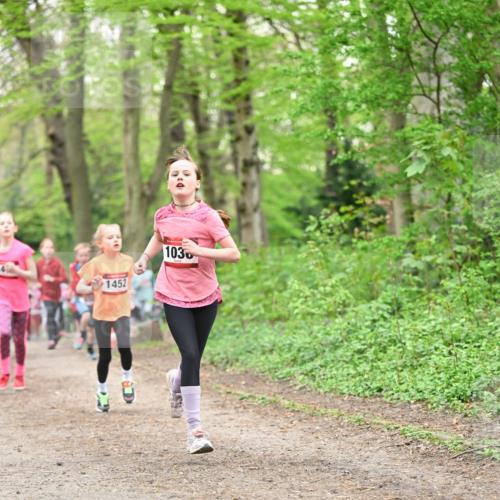 13.04.2025 - Hammer Lauf Dr. Thomas Lammeyer http://msf.ph/oto/7630391 13.04.2025 09:24:05 Laufen 1452, 103 meine-sportfotos.de