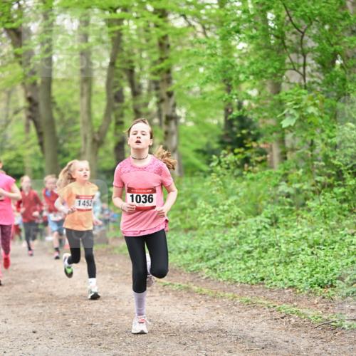 13.04.2025 - Hammer Lauf Dr. Thomas Lammeyer http://msf.ph/oto/7630398 13.04.2025 09:24:05 Laufen 1452, 15, 1036 meine-sportfotos.de