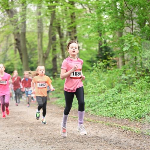 13.04.2025 - Hammer Lauf Dr. Thomas Lammeyer http://msf.ph/oto/7630404 13.04.2025 09:24:05 Laufen 1470, 1452, 1036 meine-sportfotos.de