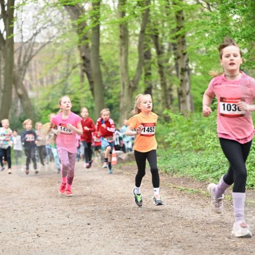 13.04.2025 - Hammer Lauf Dr. Thomas Lammeyer http://msf.ph/oto/7630415 13.04.2025 09:24:05 Laufen 1470, 1452, 103 meine-sportfotos.de
