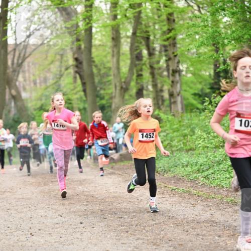 13.04.2025 - Hammer Lauf Dr. Thomas Lammeyer http://msf.ph/oto/7630421 13.04.2025 09:24:05 Laufen 1434, 1470, 430, 15, 1452, 103 meine-sportfotos.de