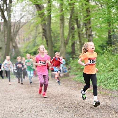 13.04.2025 - Hammer Lauf Dr. Thomas Lammeyer http://msf.ph/oto/7630438 13.04.2025 09:24:06 Laufen 1470, 15, 1452 meine-sportfotos.de