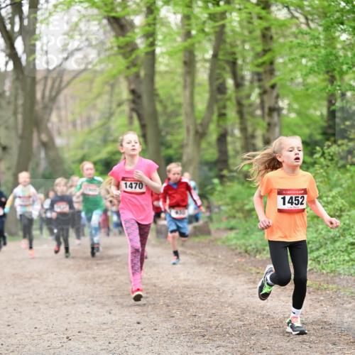 13.04.2025 - Hammer Lauf Dr. Thomas Lammeyer http://msf.ph/oto/7630443 13.04.2025 09:24:06 Laufen 1470, 430, 15, 1452 meine-sportfotos.de
