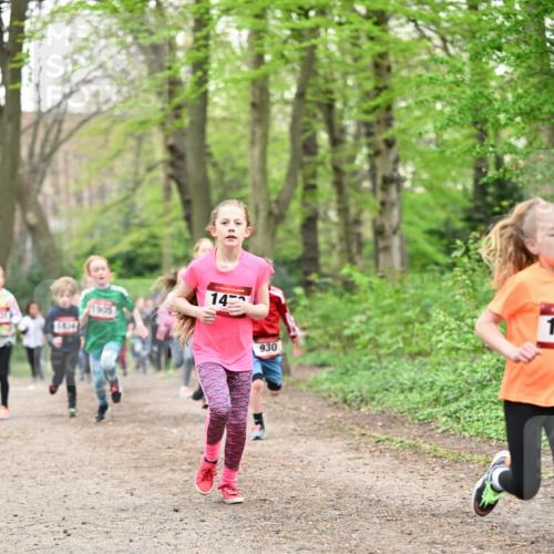13.04.2025 - Hammer Lauf Dr. Thomas Lammeyer http://msf.ph/oto/7630458 13.04.2025 09:24:07 Laufen 1834, 1905, 14, 930, 1 meine-sportfotos.de