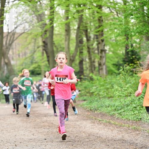 13.04.2025 - Hammer Lauf Dr. Thomas Lammeyer http://msf.ph/oto/7630463 13.04.2025 09:24:07 Laufen 15, 1470, 30 meine-sportfotos.de