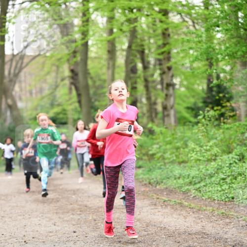 13.04.2025 - Hammer Lauf Dr. Thomas Lammeyer http://msf.ph/oto/7630474 13.04.2025 09:24:07 Laufen 1905, 15, 0 meine-sportfotos.de