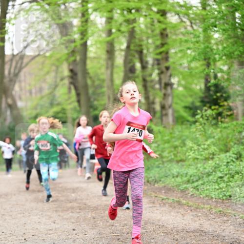13.04.2025 - Hammer Lauf Dr. Thomas Lammeyer http://msf.ph/oto/7630479 13.04.2025 09:24:07 Laufen 15, 1470 meine-sportfotos.de