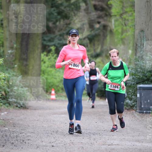 13.04.2025 - Hammer Lauf Jannik Wohlers http://msf.ph/oto/7630481 13.04.2025 12:39:58 Laufen 800, 1101 meine-sportfotos.de