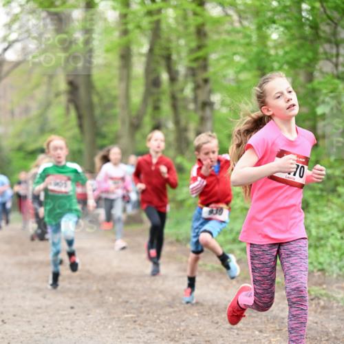 13.04.2025 - Hammer Lauf Dr. Thomas Lammeyer http://msf.ph/oto/7630494 13.04.2025 09:24:08 Laufen 70 meine-sportfotos.de