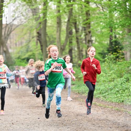 13.04.2025 - Hammer Lauf Dr. Thomas Lammeyer http://msf.ph/oto/7630508 13.04.2025 09:24:09 Laufen 431, 1834, 905 meine-sportfotos.de