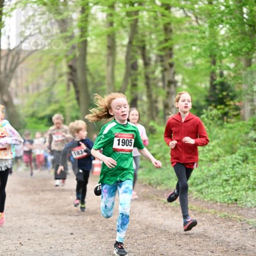 13.04.2025 - Hammer Lauf Dr. Thomas Lammeyer http://msf.ph/oto/7630512 13.04.2025 09:24:09 Laufen 1834, 15, 1905 meine-sportfotos.de