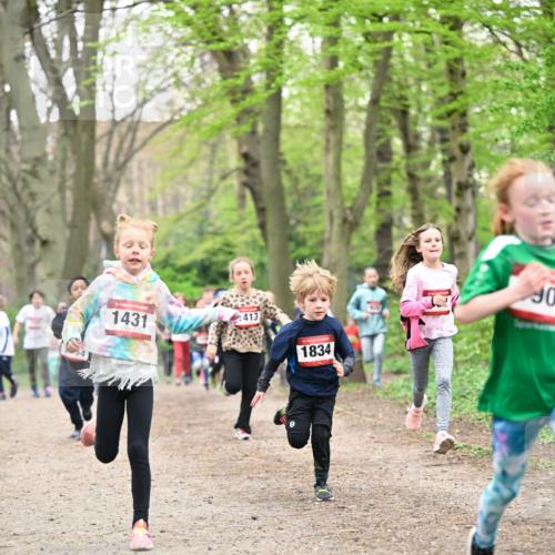 13.04.2025 - Hammer Lauf Dr. Thomas Lammeyer http://msf.ph/oto/7630526 13.04.2025 09:24:09 Laufen 15, 1431, 413, 1834, 90 meine-sportfotos.de