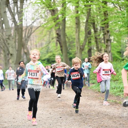 13.04.2025 - Hammer Lauf Dr. Thomas Lammeyer http://msf.ph/oto/7630532 13.04.2025 09:24:09 Laufen 1431, 1413, 1834, 362 meine-sportfotos.de