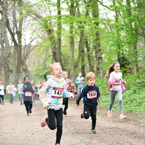 13.04.2025 - Hammer Lauf Dr. Thomas Lammeyer http://msf.ph/oto/7630536 13.04.2025 09:24:10 Laufen 1754, 15, 1431, 1834, 362 meine-sportfotos.de
