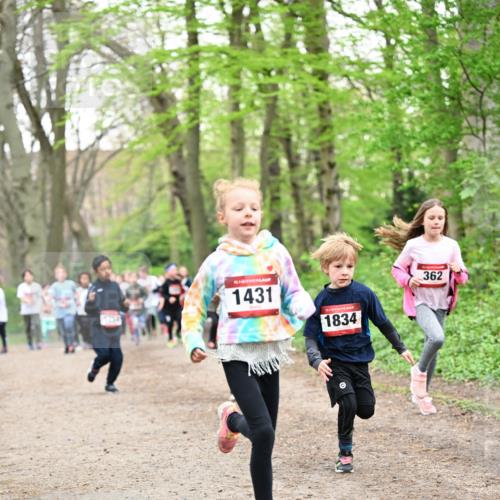 13.04.2025 - Hammer Lauf Dr. Thomas Lammeyer http://msf.ph/oto/7630547 13.04.2025 09:24:10 Laufen 1754, 15, 1431, 1834, 362 meine-sportfotos.de