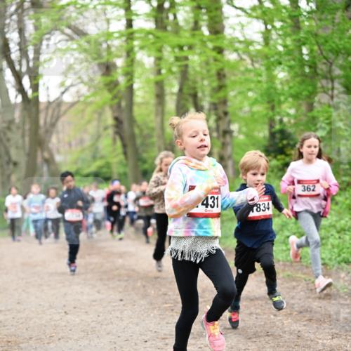 13.04.2025 - Hammer Lauf Dr. Thomas Lammeyer http://msf.ph/oto/7630552 13.04.2025 09:24:10 Laufen 431, 834, 362 meine-sportfotos.de