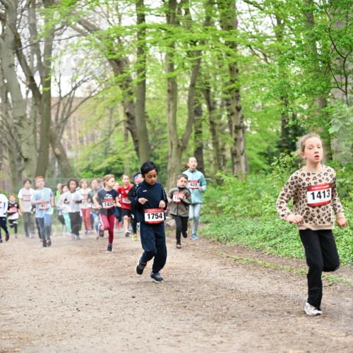 13.04.2025 - Hammer Lauf Dr. Thomas Lammeyer http://msf.ph/oto/7630578 13.04.2025 09:24:11 Laufen 4, 1539, 1432, 1754, 10, 828, 1413 meine-sportfotos.de