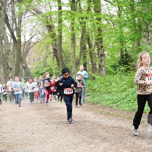 13.04.2025 - Hammer Lauf Dr. Thomas Lammeyer http://msf.ph/oto/7630583 13.04.2025 09:24:11 Laufen 1432, 1754, 1062, 141 meine-sportfotos.de