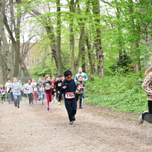 13.04.2025 - Hammer Lauf Dr. Thomas Lammeyer http://msf.ph/oto/7630587 13.04.2025 09:24:12 Laufen 1432, 1754, 1062 meine-sportfotos.de