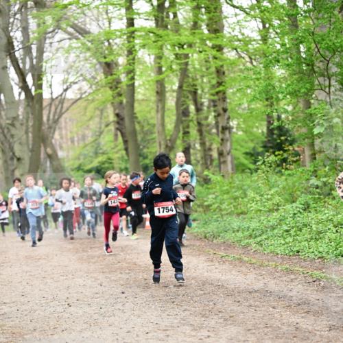 13.04.2025 - Hammer Lauf Dr. Thomas Lammeyer http://msf.ph/oto/7630593 13.04.2025 09:24:12 Laufen 143, 1920, 1754, 106 meine-sportfotos.de