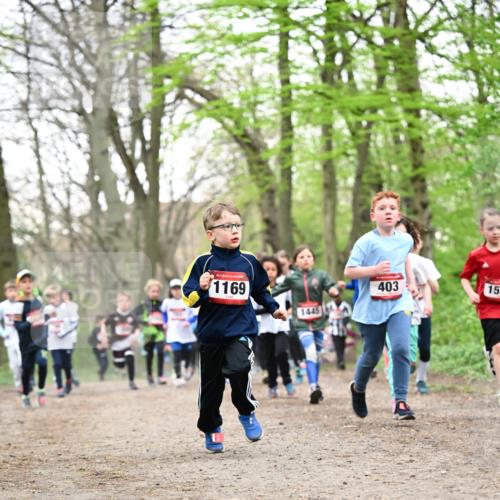 13.04.2025 - Hammer Lauf Dr. Thomas Lammeyer http://msf.ph/oto/7630598 13.04.2025 09:24:16 Laufen 15, 1169, 1445, 403, 15 meine-sportfotos.de