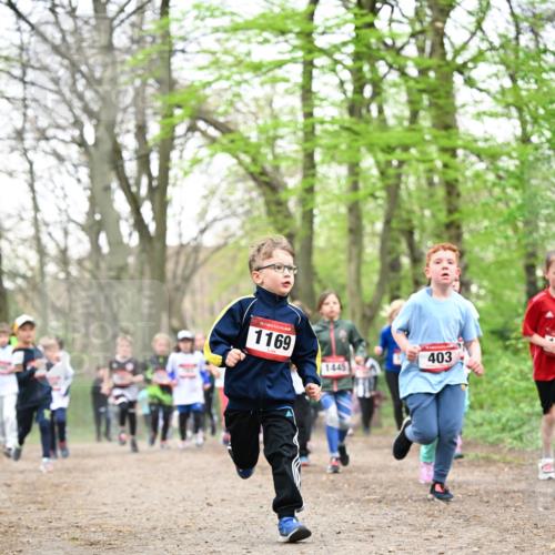 13.04.2025 - Hammer Lauf Dr. Thomas Lammeyer http://msf.ph/oto/7630604 13.04.2025 09:24:16 Laufen 15, 1169, 1445, 403 meine-sportfotos.de