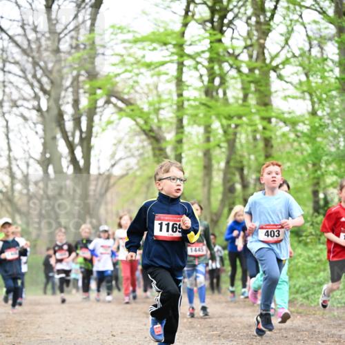 13.04.2025 - Hammer Lauf Dr. Thomas Lammeyer http://msf.ph/oto/7630609 13.04.2025 09:24:16 Laufen 15, 1169, 1445, 403 meine-sportfotos.de