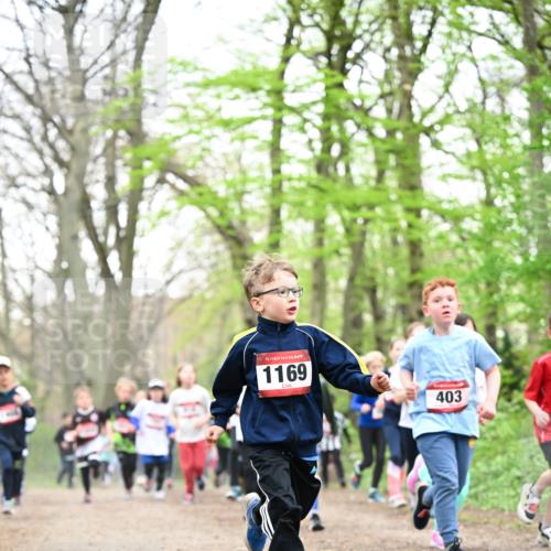 13.04.2025 - Hammer Lauf Dr. Thomas Lammeyer http://msf.ph/oto/7630614 13.04.2025 09:24:16 Laufen 15, 1169, 403 meine-sportfotos.de