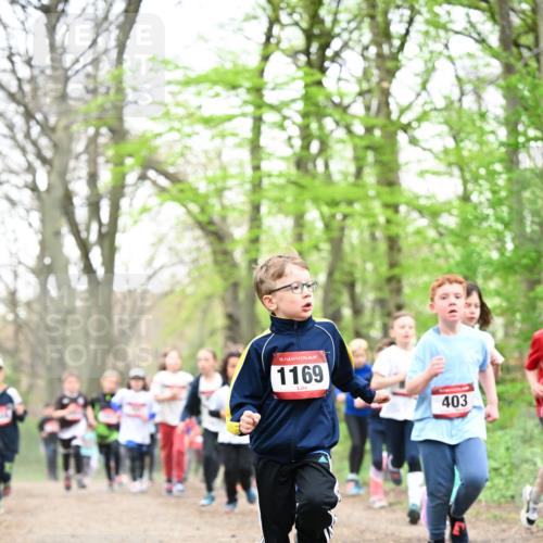 13.04.2025 - Hammer Lauf Dr. Thomas Lammeyer http://msf.ph/oto/7630619 13.04.2025 09:24:16 Laufen 15, 1169, 403 meine-sportfotos.de
