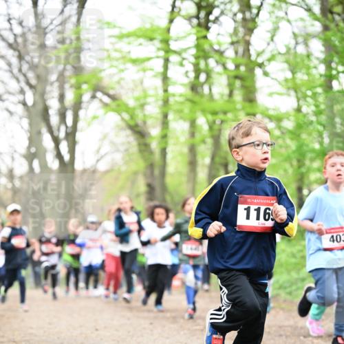 13.04.2025 - Hammer Lauf Dr. Thomas Lammeyer http://msf.ph/oto/7630629 13.04.2025 09:24:17 Laufen 15, 116, 403 meine-sportfotos.de