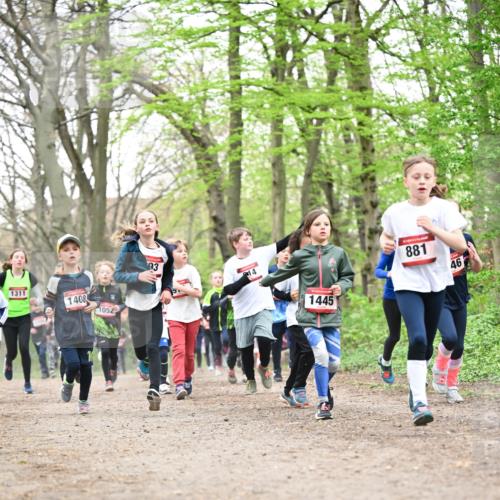 13.04.2025 - Hammer Lauf Dr. Thomas Lammeyer http://msf.ph/oto/7630638 13.04.2025 09:24:17 Laufen 1311, 1408, 1052, 93, 14, 1445, 881, 46 meine-sportfotos.de