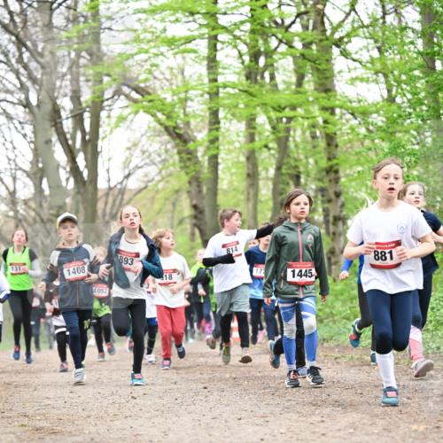 13.04.2025 - Hammer Lauf Dr. Thomas Lammeyer http://msf.ph/oto/7630642 13.04.2025 09:24:18 Laufen 131, 1408, 1052, 893, 18, 814, 177, 1445, 881 meine-sportfotos.de