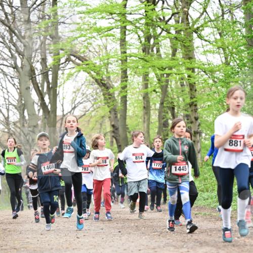 13.04.2025 - Hammer Lauf Dr. Thomas Lammeyer http://msf.ph/oto/7630645 13.04.2025 09:24:18 Laufen 893, 1311, 1408, 783, 814, 18, 1773, 1445, 881 meine-sportfotos.de