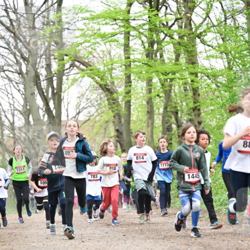 13.04.2025 - Hammer Lauf Dr. Thomas Lammeyer http://msf.ph/oto/7630651 13.04.2025 09:24:18 Laufen 1311, 105, 140, 892, 783, 918, 814, 1773, 1445, 88 meine-sportfotos.de