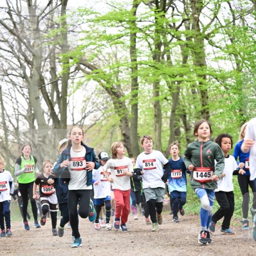 13.04.2025 - Hammer Lauf Dr. Thomas Lammeyer http://msf.ph/oto/7630657 13.04.2025 09:24:18 Laufen 796, 311, 893, 105, 91, 814, 1773, 1445 meine-sportfotos.de