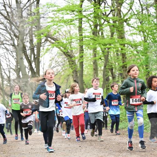 13.04.2025 - Hammer Lauf Dr. Thomas Lammeyer http://msf.ph/oto/7630661 13.04.2025 09:24:18 Laufen 1311, 10, 893, 78, 18, 15, 814, 1773, 1445 meine-sportfotos.de