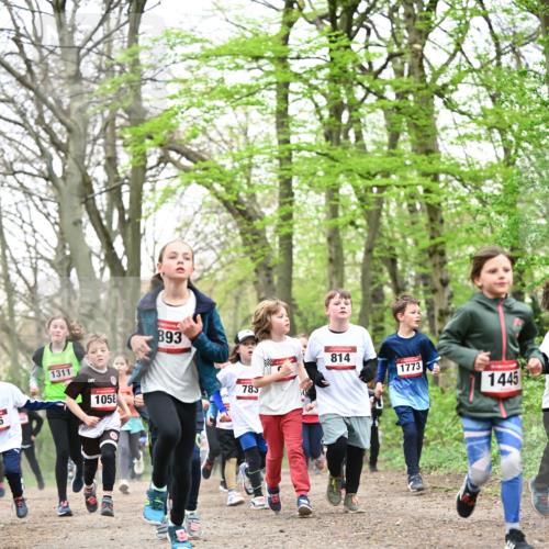 13.04.2025 - Hammer Lauf Dr. Thomas Lammeyer http://msf.ph/oto/7630667 13.04.2025 09:24:18 Laufen 6, 1311, 1058, 893, 785, 814, 1773, 1445 meine-sportfotos.de