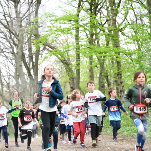 13.04.2025 - Hammer Lauf Dr. Thomas Lammeyer http://msf.ph/oto/7630671 13.04.2025 09:24:19 Laufen 796, 89, 1058, 10, 918, 814, 1773, 1445 meine-sportfotos.de