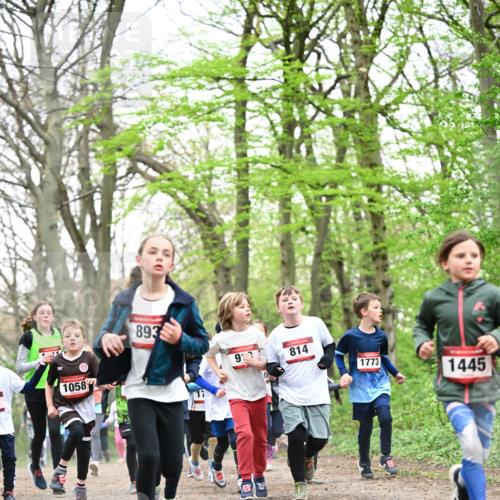 13.04.2025 - Hammer Lauf Dr. Thomas Lammeyer http://msf.ph/oto/7630677 13.04.2025 09:24:19 Laufen 1058, 893, 93, 814, 1773, 1445 meine-sportfotos.de