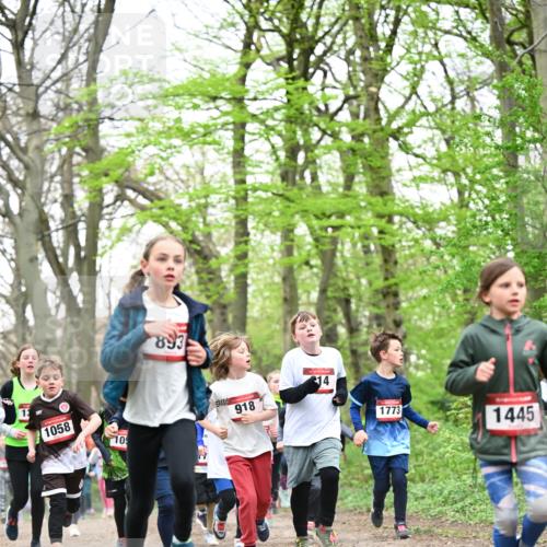 13.04.2025 - Hammer Lauf Dr. Thomas Lammeyer http://msf.ph/oto/7630682 13.04.2025 09:24:19 Laufen 1058, 893, 109, 918, 14, 1773, 1445 meine-sportfotos.de